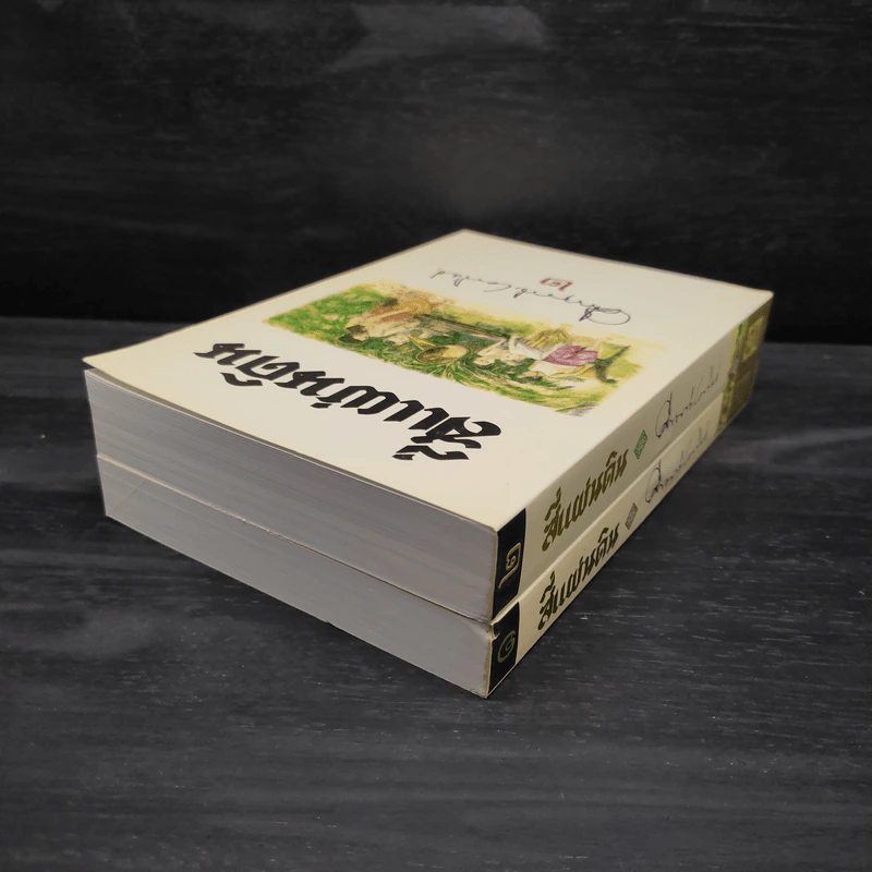 Boxset สี่แผ่นดิน 2 เล่มจบ - มรว.คึกฤทธิ์ ปราโมช รูปที่ 8