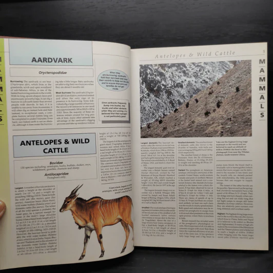 The Guinness Book of Animal Records - Mark Carwardine รูปที่ 6