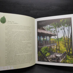 Living Nature บ้านสวย อยู่สบาย ของคนรักธรรมชาติ - ภัทรสิริ อภิชิต รูปที่ 7