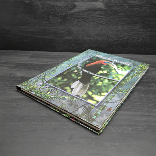 บันทึกธรรมชาติ ด้วยปีกแห่งพงไพร รูปที่ 5