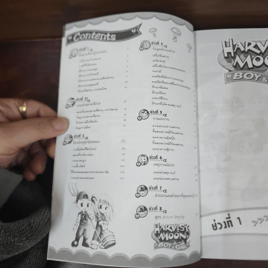คู่มือเฉลยเกม Harvest Moon Boy & Girl รูปที่ 7
