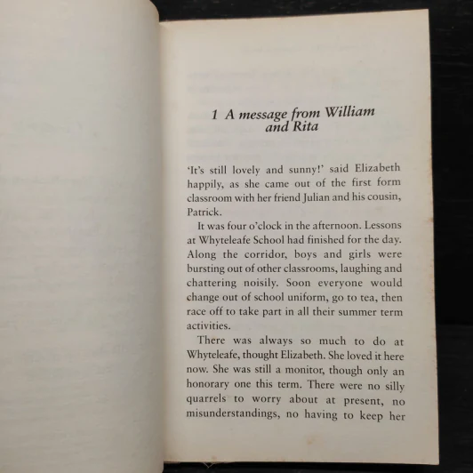 The Naughtiest Girl Keeps a Secret - Enid Blyton, Anne Digby รูปที่ 6