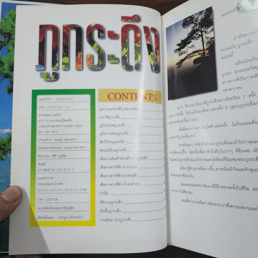 อุทยานแห่งชาติภูกระดึง - ธนะบูล แจ่มกระจ่าง รูปที่ 8