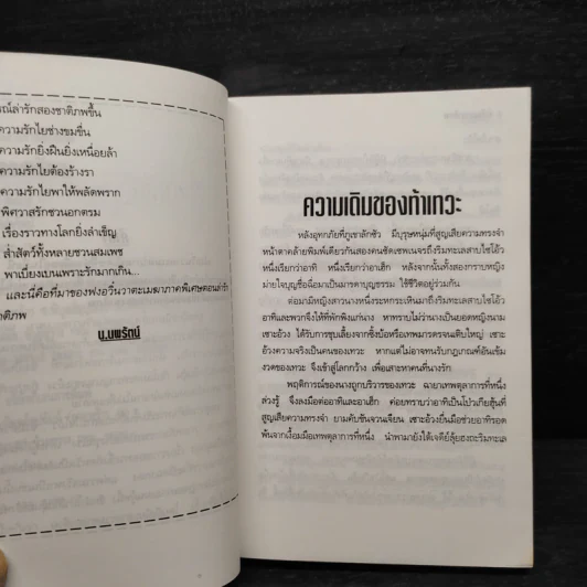 ฟงอวิ๋นขี่พายุทะลุฟ้า ภาคพิเศษตอน ล่ารักสองชาติภพ - น.นพรัตน์ รูปที่ 6