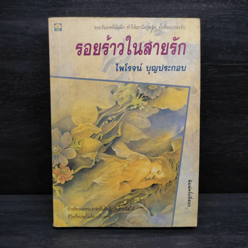 รอยร้าวในสายรัก - ไพโรจน์ บุญประกอบ รูปที่ 1