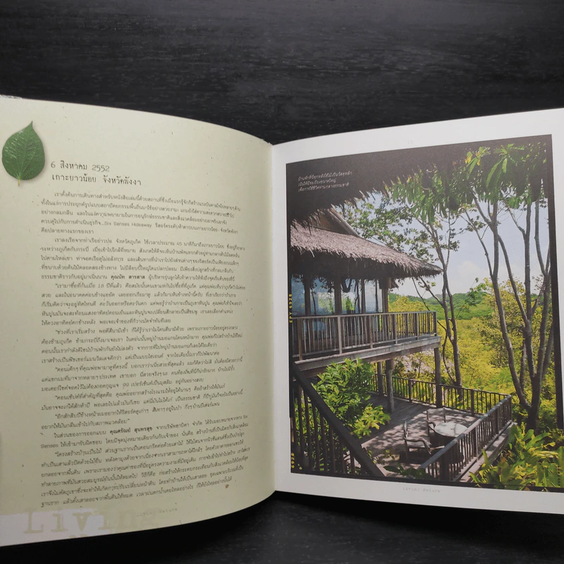 Living Nature บ้านสวย อยู่สบาย ของคนรักธรรมชาติ - ภัทรสิริ อภิชิต รูปที่ 7