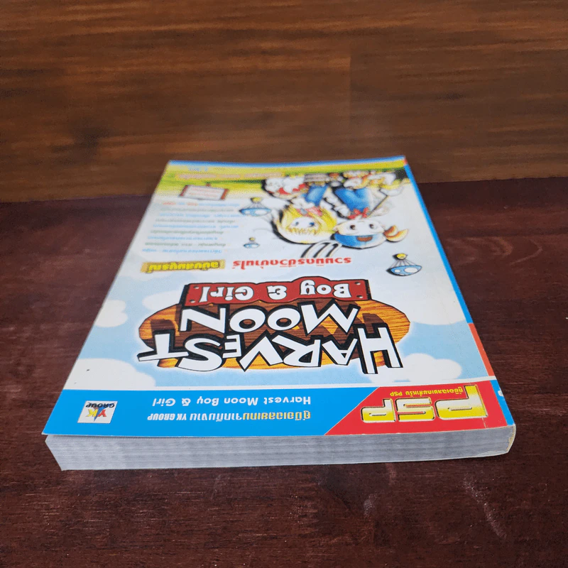 คู่มือเฉลยเกม Harvest Moon Boy & Girl รูปที่ 5