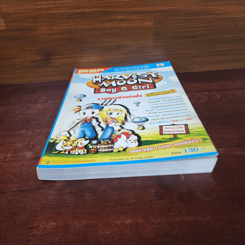 คู่มือเฉลยเกม Harvest Moon Boy & Girl รูปที่ 4