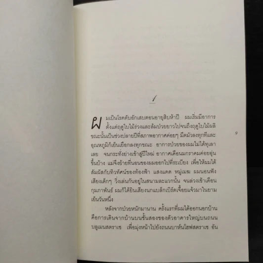 เดอะ รีดเดอร์ - เบิร์นฮาร์ด ชลิงค์ รูปที่ 6