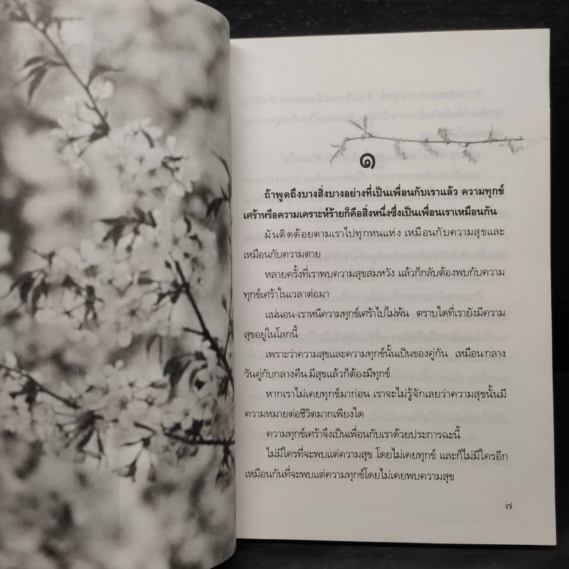 เพื่อนชีวิต - ศิริพงษ์ จันทร์หอม รูปที่ 6