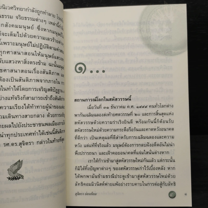 การสร้างสันติภาพโลกแบบยั่งยืน - สุจิตรา อ่อนค้อม รูปที่ 6