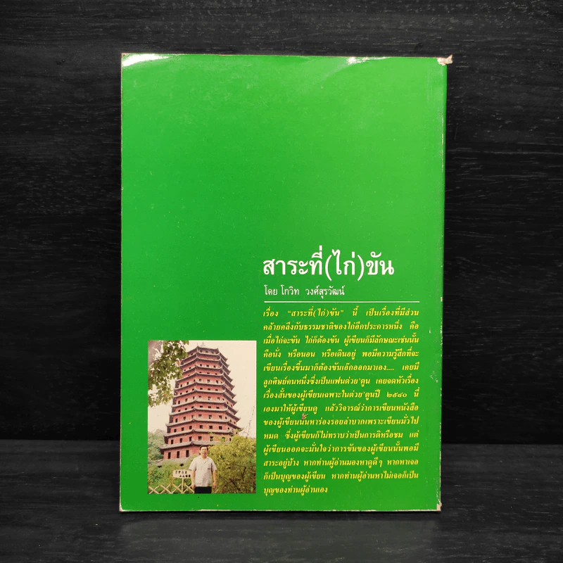 สาระที่ (ไก่) ขัน - โกวิท วงศ์สุรวัฒน์ รูปที่ 2