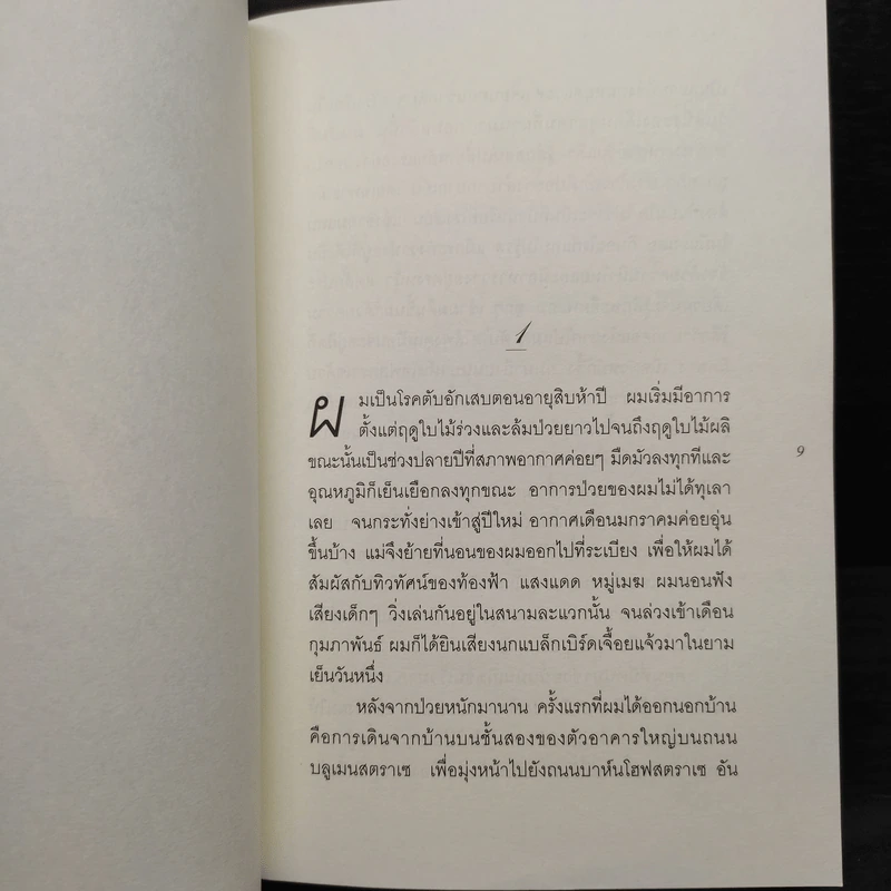 เดอะ รีดเดอร์ - เบิร์นฮาร์ด ชลิงค์ รูปที่ 6