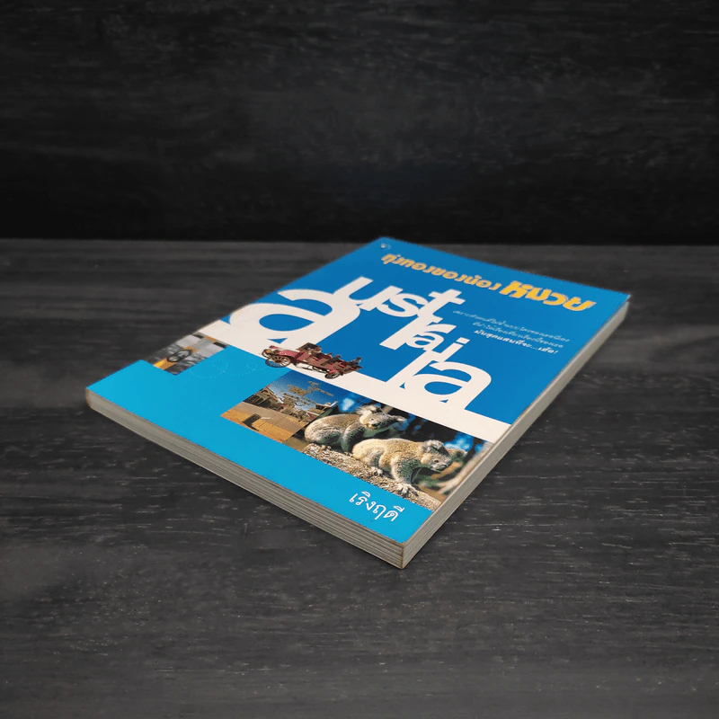 ทุ่งทองของน้องหมวย - เริงฤดี รูปที่ 4