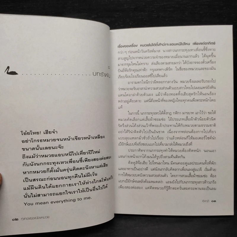 ทุ่งทองของน้องหมวย - เริงฤดี รูปที่ 6