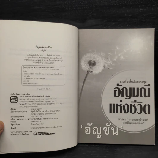 อัญมณีแห่งชีวิต - อัญชัน รูปที่ 6