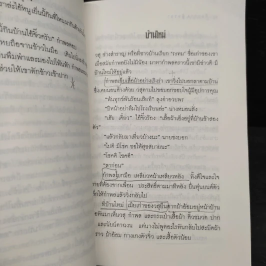 ช่างสำราญ - เดือนวาด พิมวนา รูปที่ 9