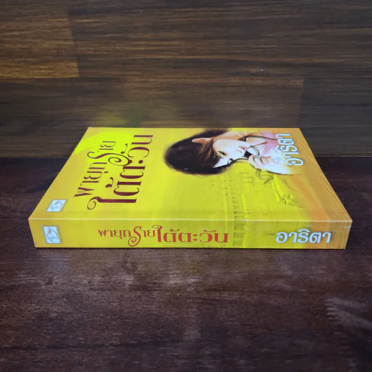 พายุทรายใต้ตะวัน - อาริตา รูปที่ 2