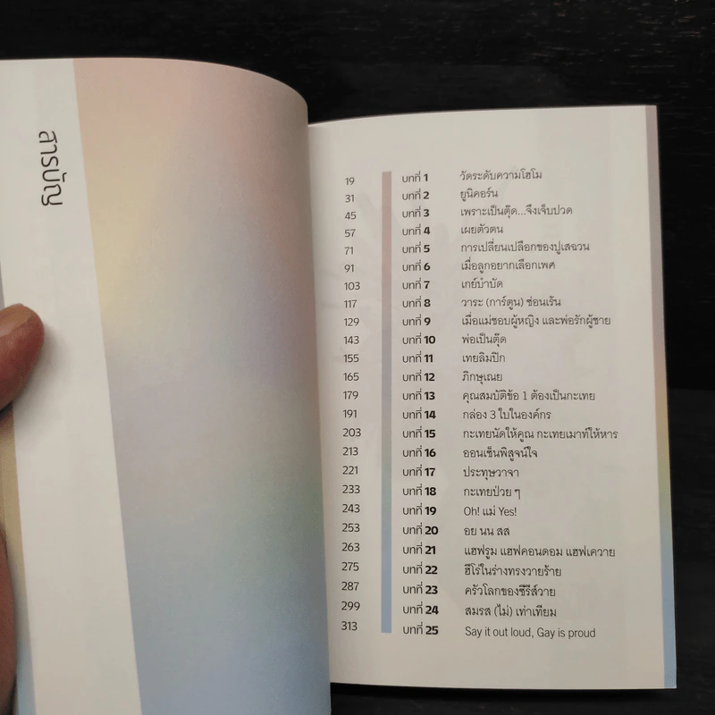 RAINBOWLOGY ศาสตร์สีรุ้ง - สิรภพ แก้วมาก รูปที่ 5