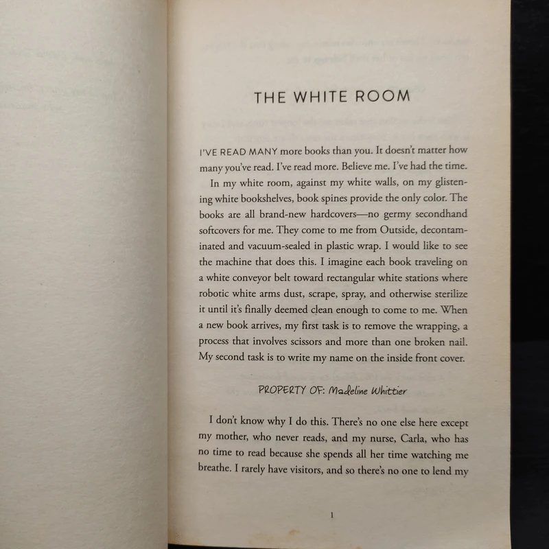 EVERYTHING EVERYTHING - Nicola Yoon รูปที่ 6