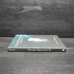 Pillow Thoughts II - Courtney Peppernell รูปที่ 3