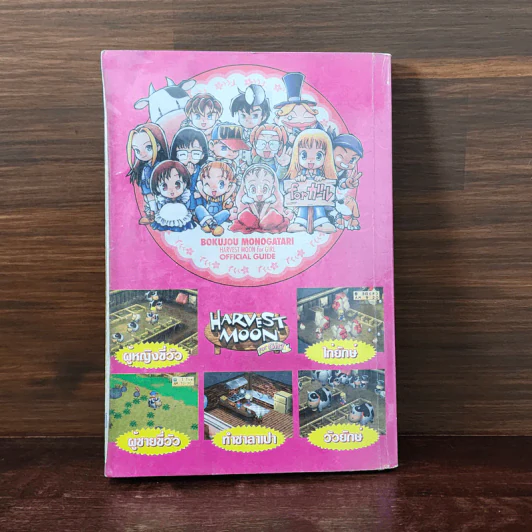 Harvest Moon for Girl รูปที่ 6