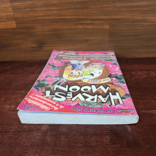 Harvest Moon for Girl รูปที่ 5