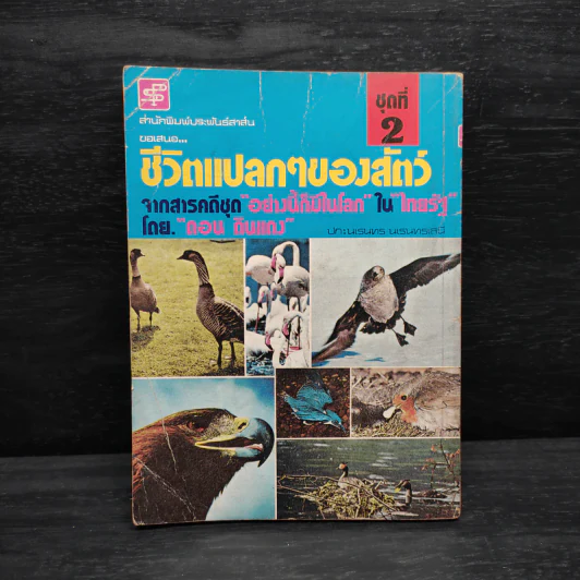 ชีวิตแปลกๆของสัตว์ - ดอน ดินแดง รูปที่ 2