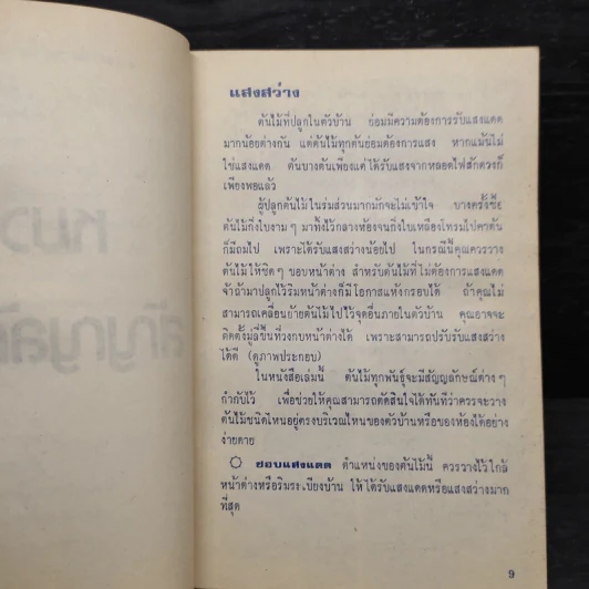พันธุ์ไม้ในบ้านและการประดับตกแต่ง พร้อมภาพประกอบ รูปที่ 6