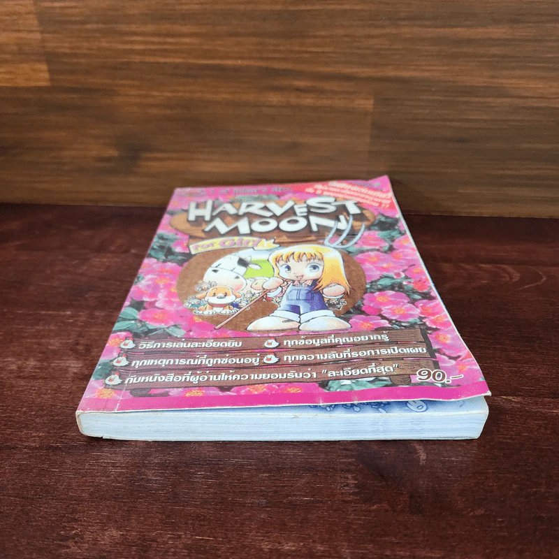 Harvest Moon for Girl รูปที่ 4