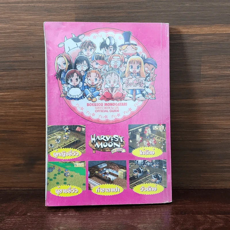 Harvest Moon for Girl รูปที่ 6
