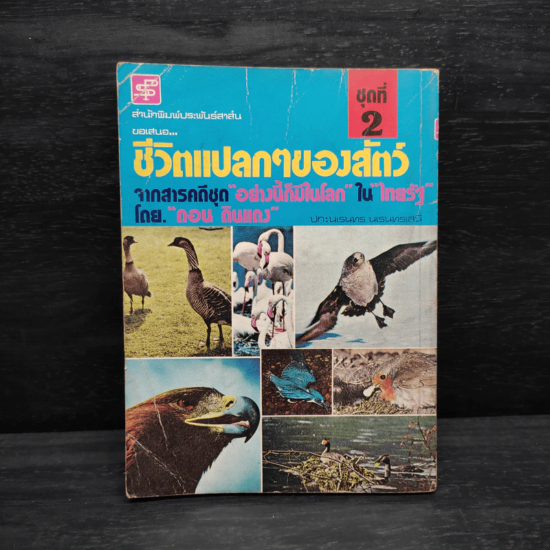 ชีวิตแปลกๆของสัตว์ - ดอน ดินแดง รูปที่ 2