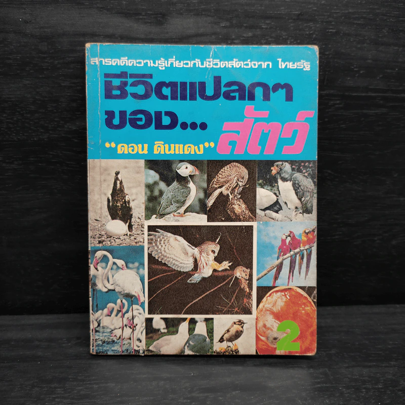 ชีวิตแปลกๆของสัตว์ - ดอน ดินแดง รูปที่ 1