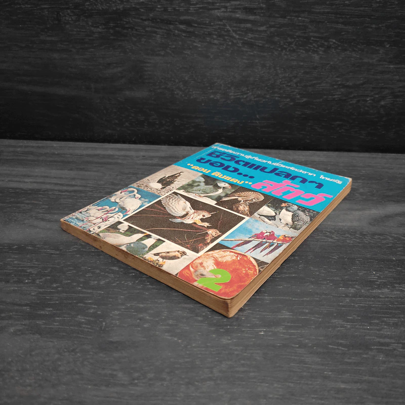 ชีวิตแปลกๆของสัตว์ - ดอน ดินแดง รูปที่ 4