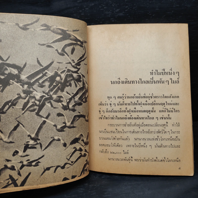 ชีวิตแปลกๆของสัตว์ - ดอน ดินแดง รูปที่ 6