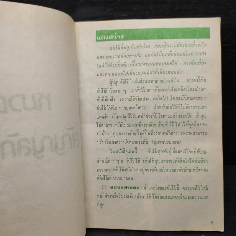พันธฺุ์ไม้ในบ้านและการประดับตกแต่ง ชุด 2 รูปที่ 6