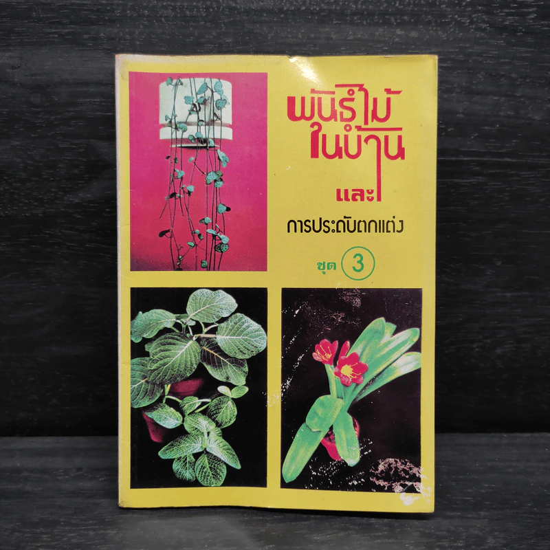 พันธุ์ไม้ในบ้านและการประดับตกแต่ง ชุด 3 รูปที่ 1