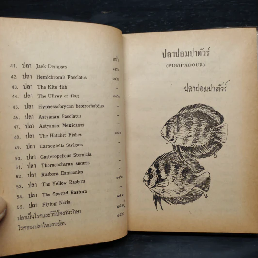 คู่มือการเลี้ยงปลาตู้ - เพลิน อมตพันธ์ รูปที่ 8