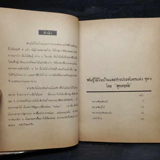 พันธฺุ์ไม้ในบ้านและการประดับตกแต่ง ชุด 5 - สุขหฤทัย รูปที่ 5