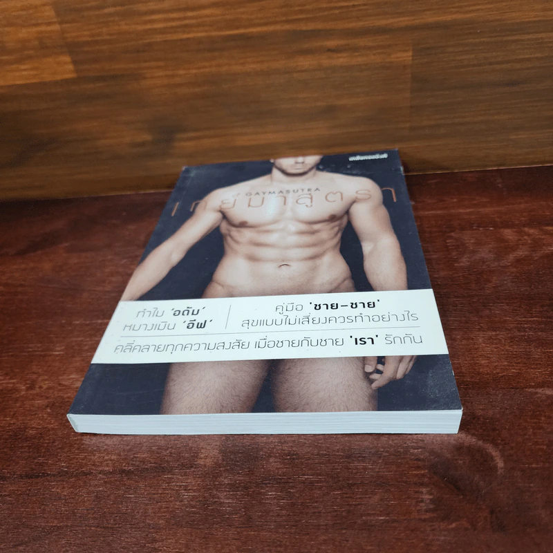 เกย์มาสูตรา GAYMASUTRA - เภสชกรแบง้ค์ รูปที่ 4