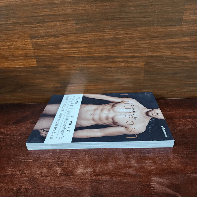 เกย์มาสูตรา GAYMASUTRA - เภสชกรแบง้ค์ รูปที่ 3