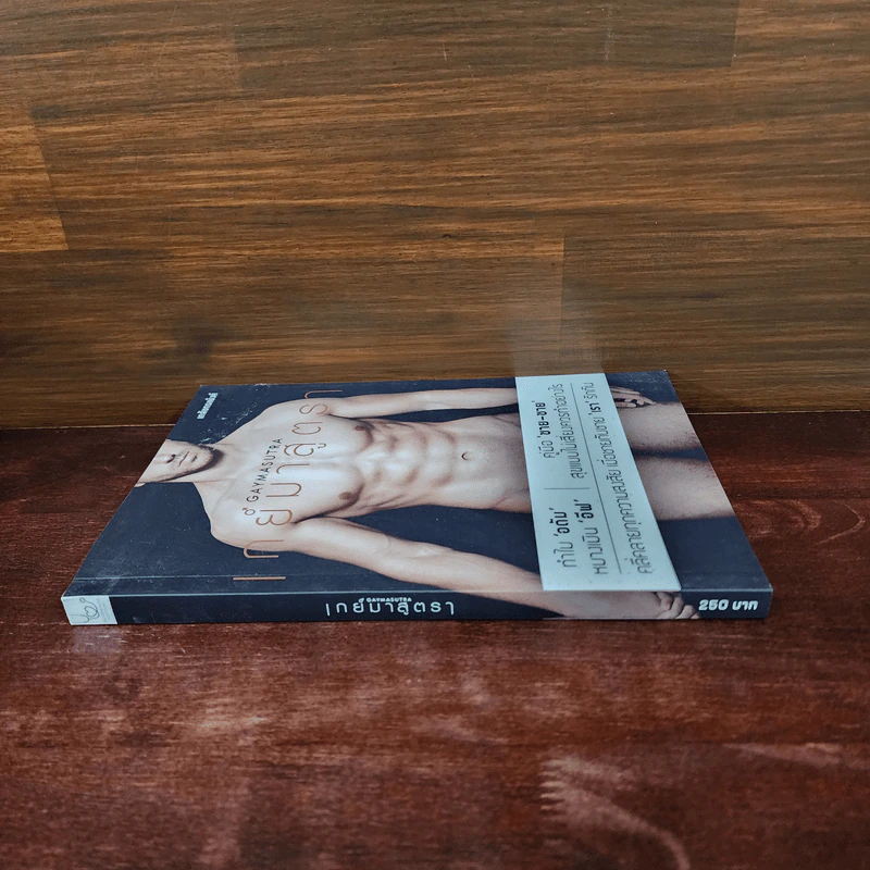 เกย์มาสูตรา GAYMASUTRA - เภสชกรแบง้ค์ รูปที่ 2
