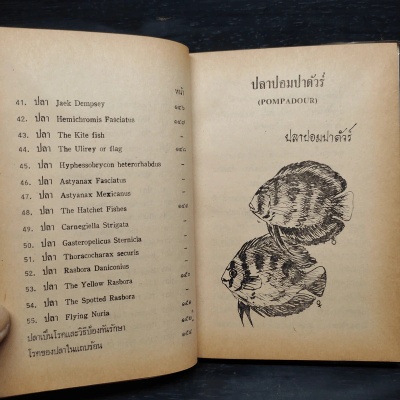 คู่มือการเลี้ยงปลาตู้ - เพลิน อมตพันธ์ รูปที่ 8