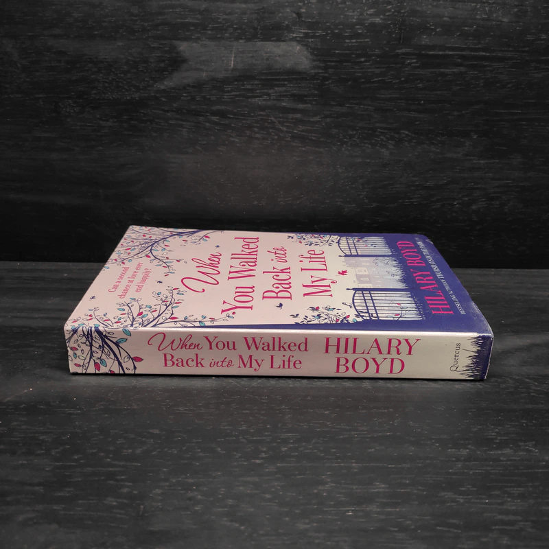 When You Walked Back into My Life - Hilary Boyd รูปที่ 3