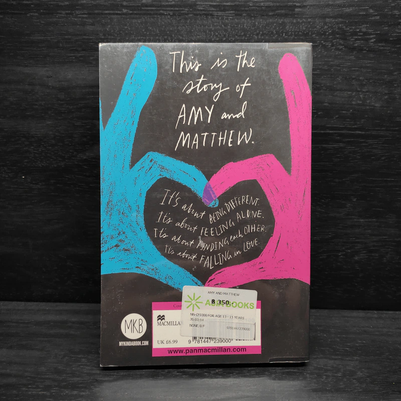 Amy and Matthew: A Love Story - Cammie McGovern รูปที่ 2