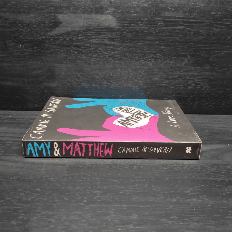 Amy and Matthew: A Love Story - Cammie McGovern รูปที่ 3