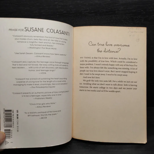 All I Need - Susane Colasanti รูปที่ 5