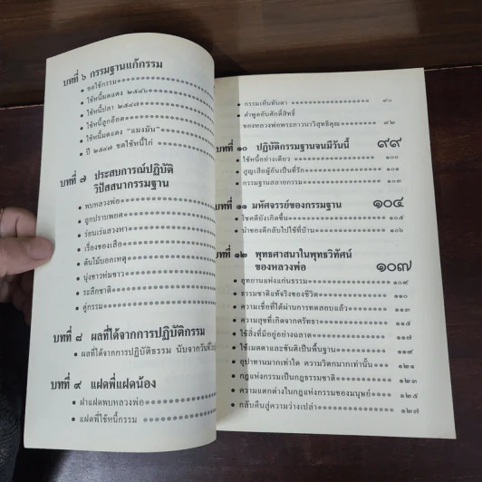 กรรมฐานแก้กรรม 9 ภาค แสงธรรมนำชีวิตให้มั่งคั่งและเจริญรุ่งเรือง - หลวงพ่อจรัญ รูปที่ 9