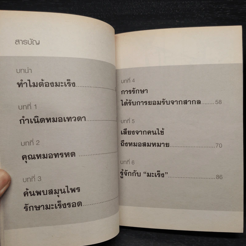 หมอเทวดา ผู้รักษามะเร็งรอด - สมหมาย ทองประเสริฐ รูปที่ 6