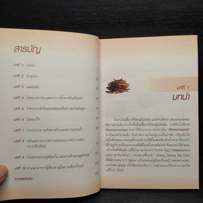 ถั่งเช่า สุดยอดยาอายุวัฒนะ รูปที่ 6